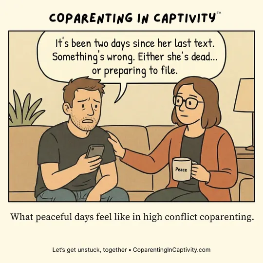 Coparenting in Captivity comic #32: Some coparenting seasons make silence feel louder than words. (dad’s point of view)