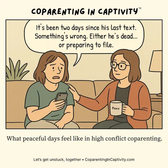 Coparenting in Captivity comic #32: Some seasons of coparenting can make a quiet inbox feel louder than any argument ever did. (mom’s point of view)